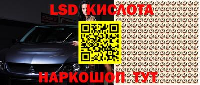 герыч Будённовск
