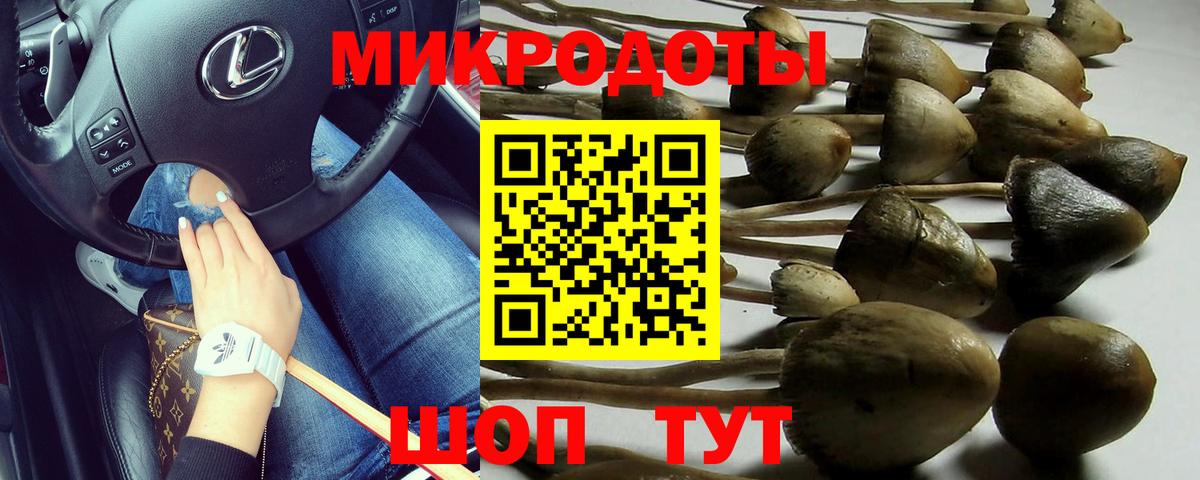 Галлюциногенные грибы MAGIC MUSHROOMS Рославль