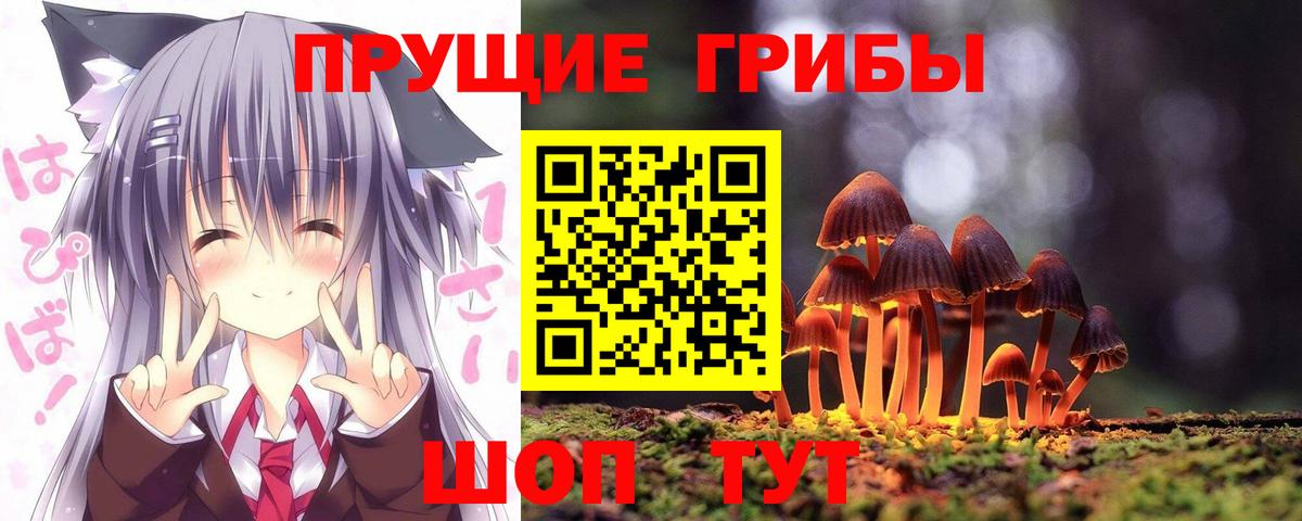Галлюциногенные грибы MAGIC MUSHROOMS  Вход с VPN  Псилоцибиновые грибы GOLDEN TEACHER  Рославль 